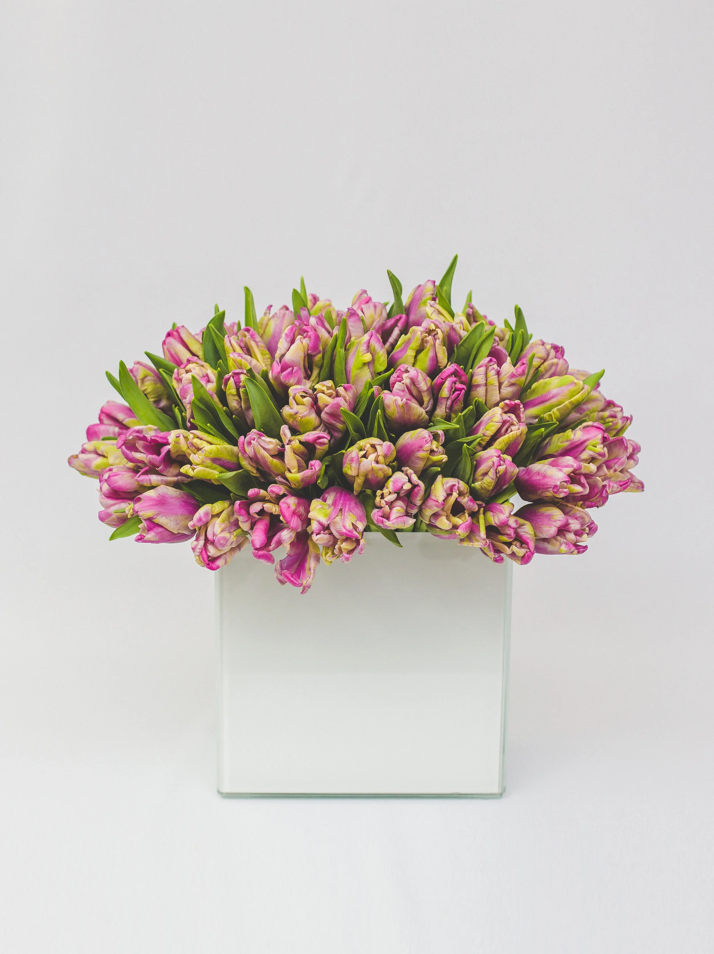 Charismatic coral — Casey's Flower Studio